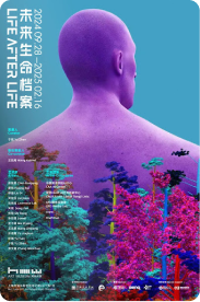 Life After Life poster